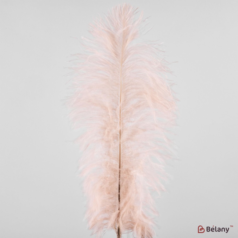 Pene de strut, 50 buc, 25 cm, piersic