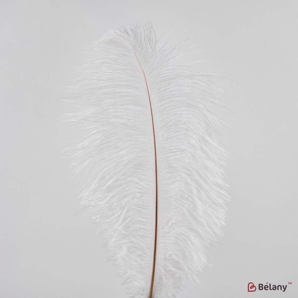 Pene de strut, 50 buc, 25 cm, alb