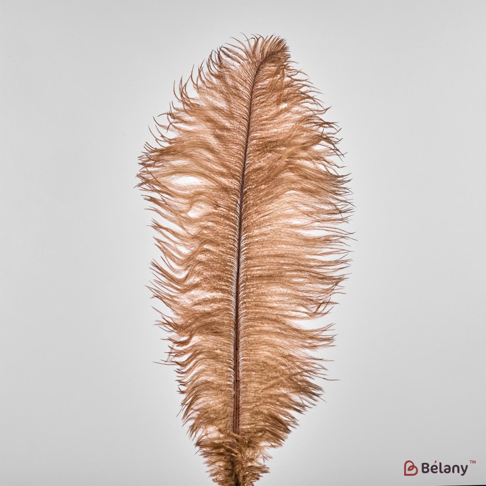 Ostrich feathers, 50 pcs, 30 cm, bronze