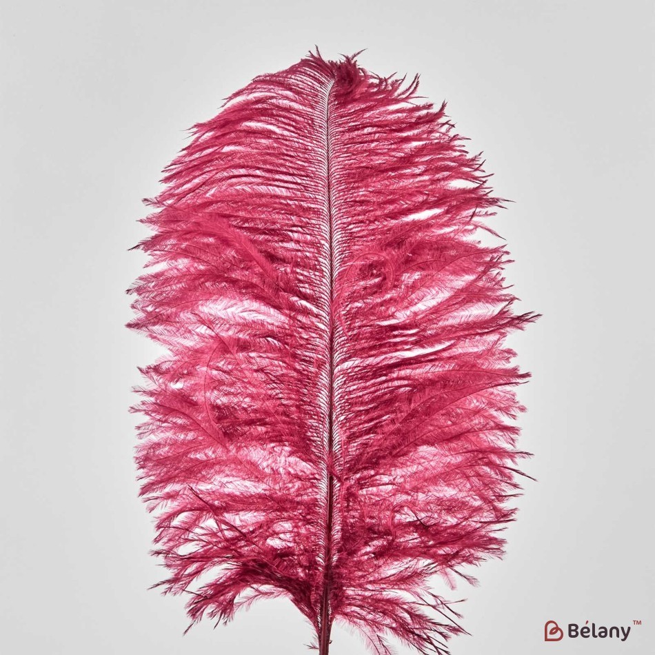 Ostrich feathers, 50 pcs, 30 cm, red