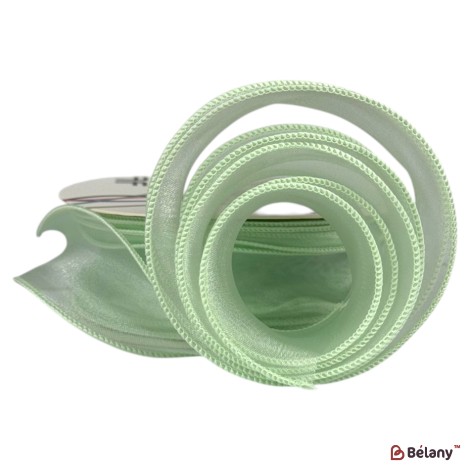Panglică din organza "Uni", verde deschis,  4cm / 9,11m #1005