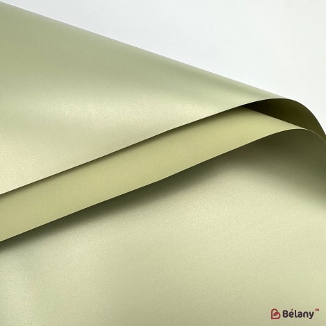 Celofan verde "Shiny" #06