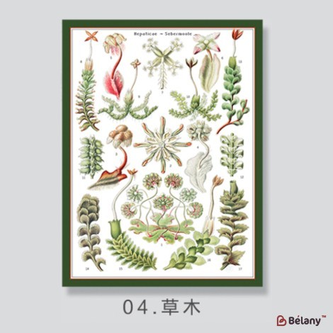 gift wrapping paper "Bloomy", 85g, #04