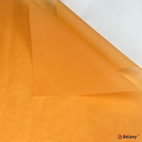 tissue paper "Colory" #2201