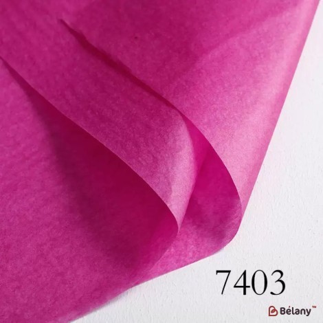 Hârtie de mătase "Colory" #7403