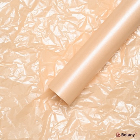 pearlescent tissue paper "Colory" #05