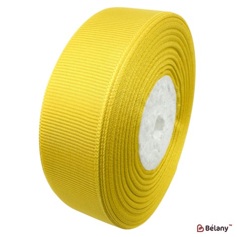 Bandă grosgrain 2,5 cm / 23 m, #101