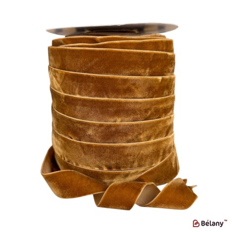 Banda de velur, culoare #21 2.5cm/45,72 m