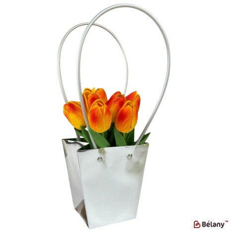 Set 10 pachete pentru flori argint 