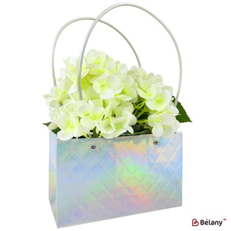 Set 10 pachete pentru flori argint "Goldy #6" 22x13x10