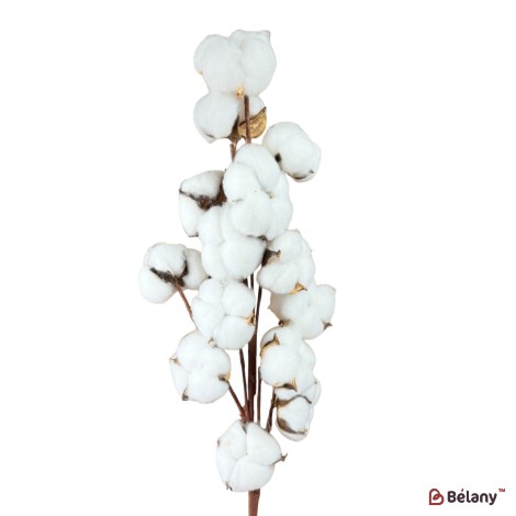 Ramură artificială de bumbac, 14 capsule, 65 cm
