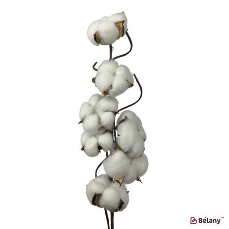 Ramură artificială de bumbac, 7 capsule, 65 cm