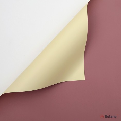 Celofan bicolor, crem-pudrat #243