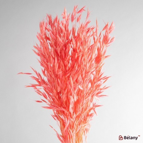 Dried flowers oats, pink, 60 grams