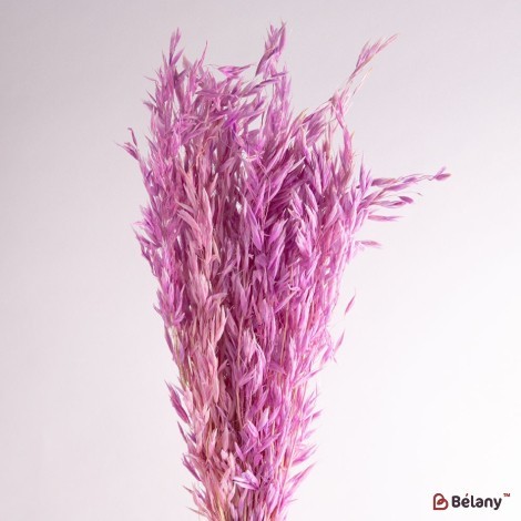 Dried flowers oats, purple, 60 grams