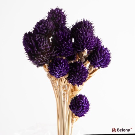 Dried flowers gomphrena, lilac, 25 grams