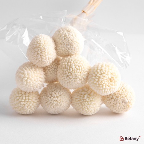 Dried flowers craspedia, beige, 10 heads, 65 grams