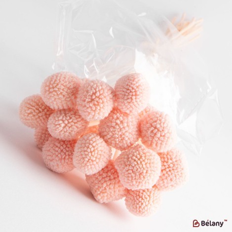 Dried flowers craspedia, pink, 20 heads, 55 grams