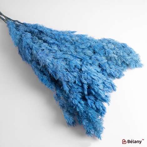 Dried asparagus flowers, blue, 65 grams