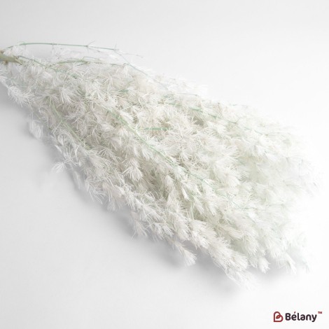 Dried asparagus flowers, light blue, 65 grams