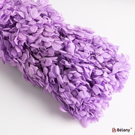Dried flowers hydrangea, lilac, 70 grams