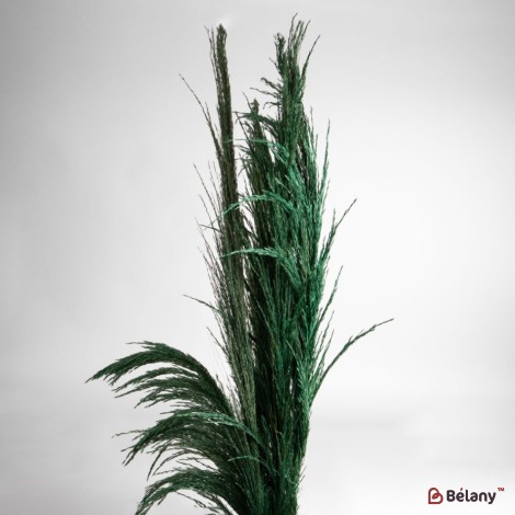 Flori uscate iarba pampas, #12, 200 grame