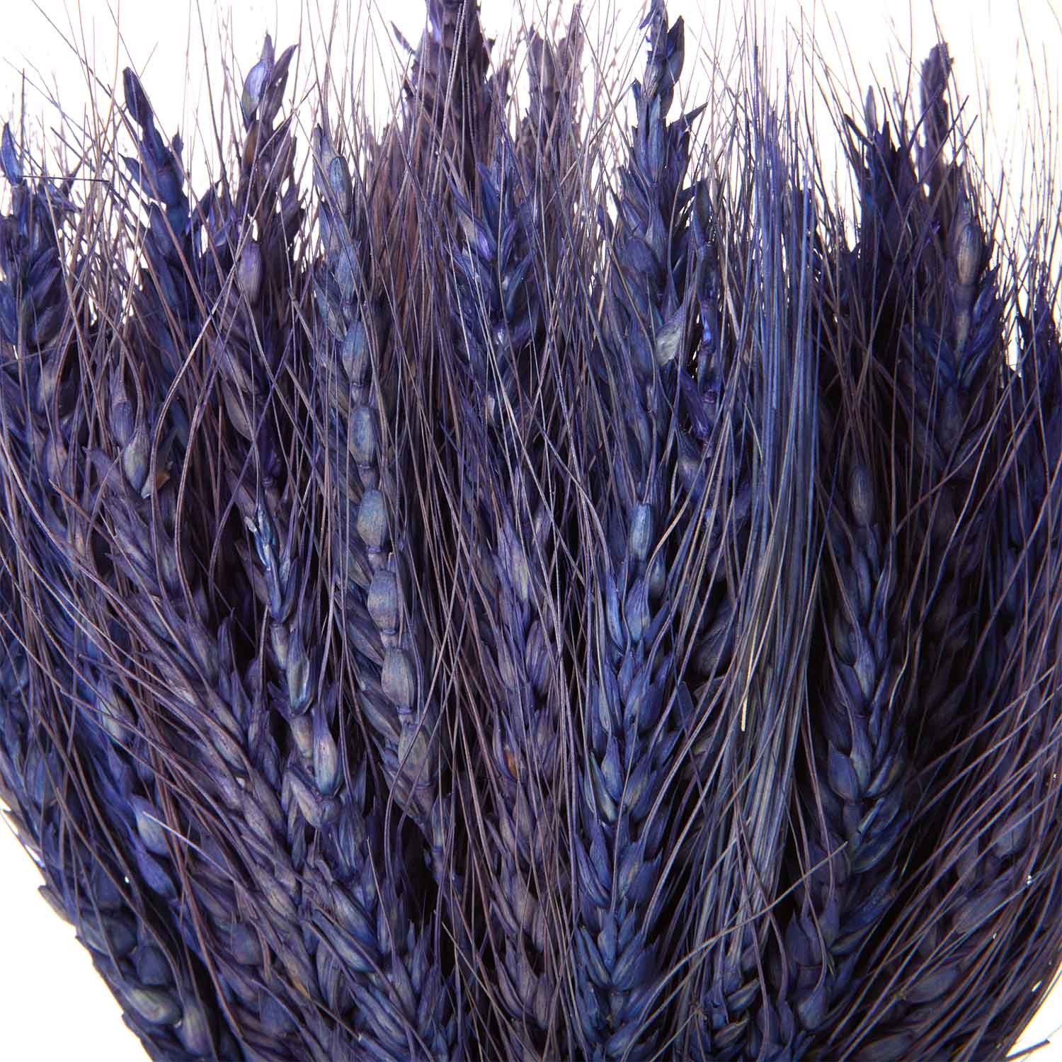 Flori uscate, spice albastru de grâu 120 grame photo 2