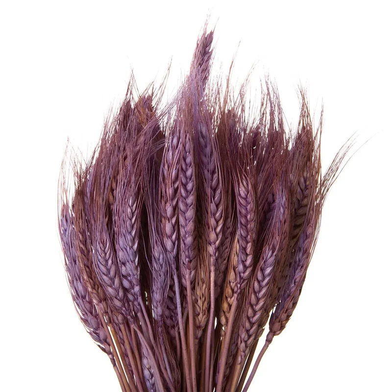 Flori uscate, spice lilac de grâu 120 grame