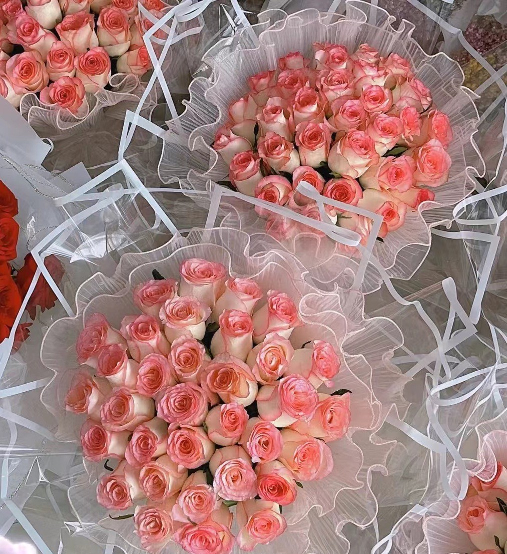 Celofan transparent dungi "Line" roz photo 4