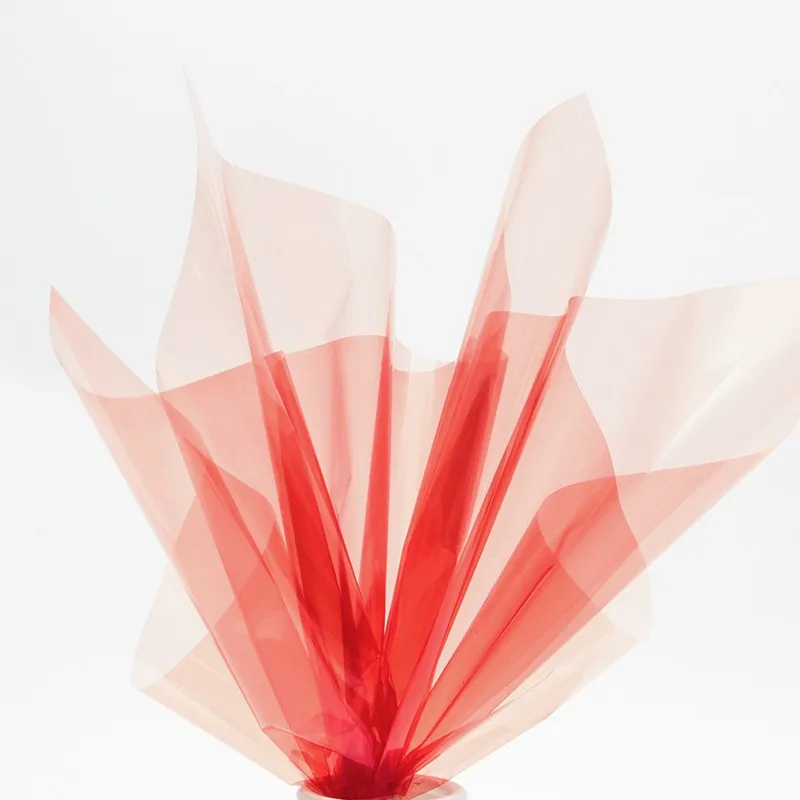 Celofan translucid „Glossy” #011