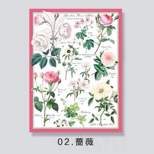 Hârtie de ambalaj cadou "Bloomy", 85g, #02