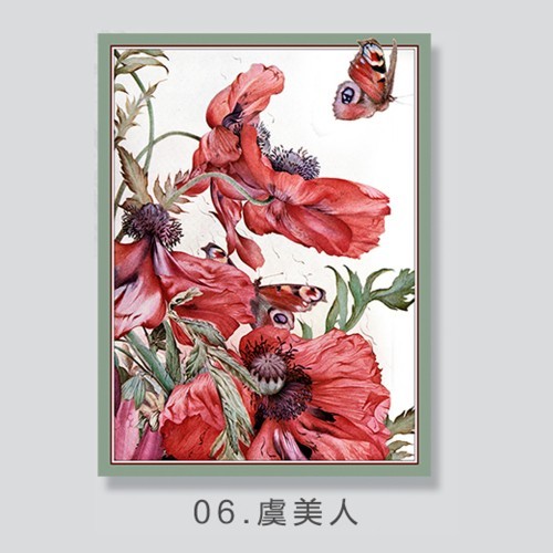 Bloomy gift wrapping paper, 85g, #06