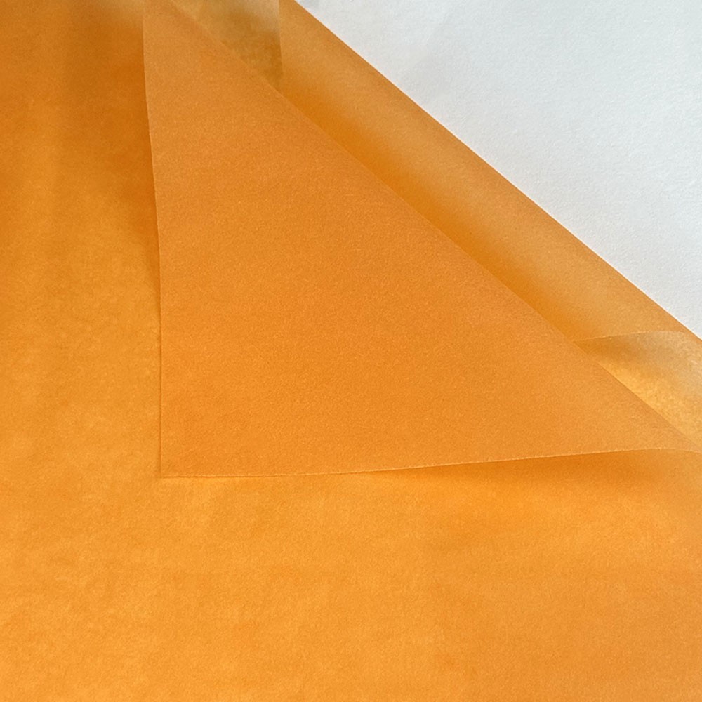 Papier jedwabny Colory #2201