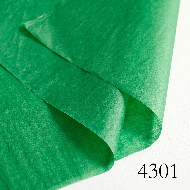 Papier jedwabny Colory #4301