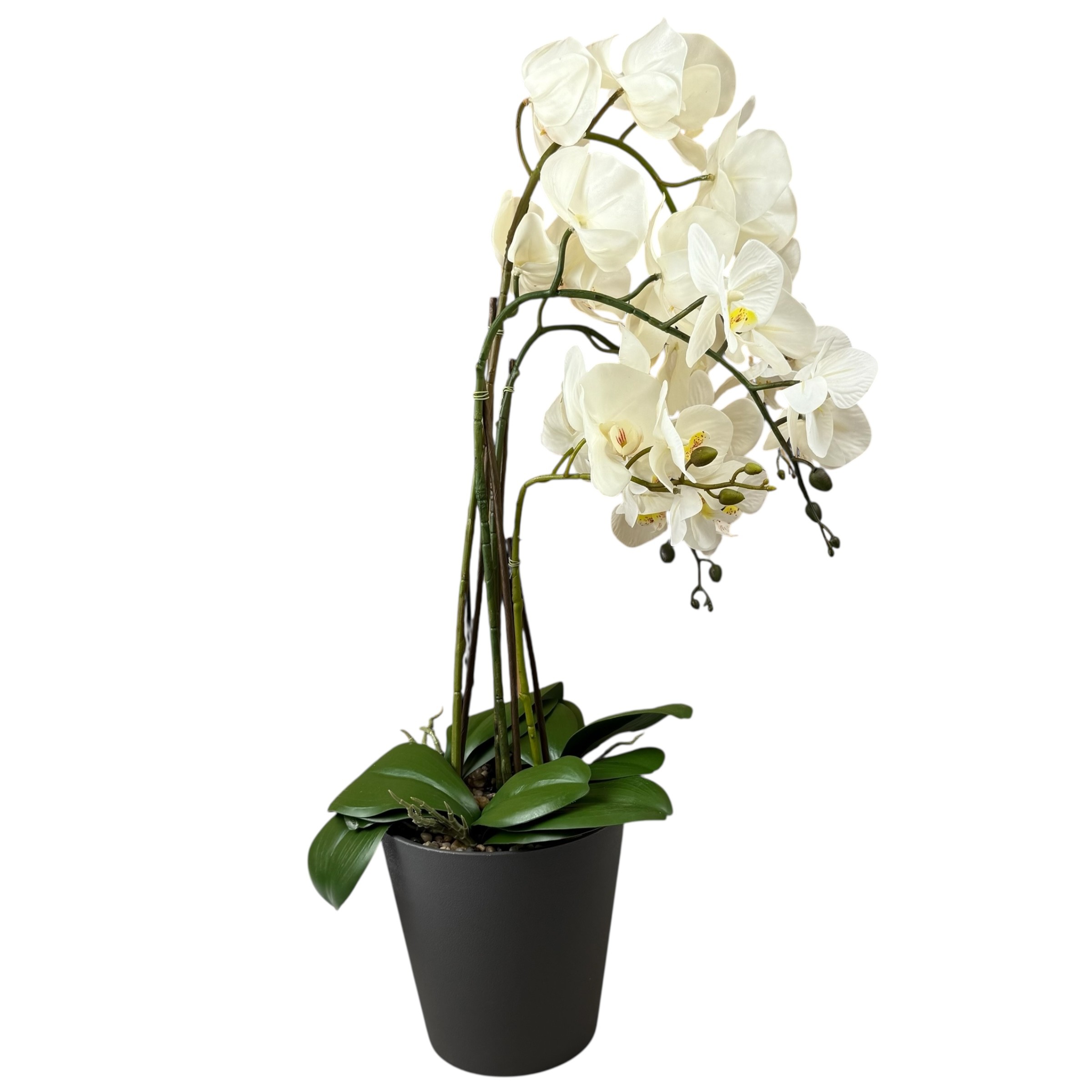 White artificial orchid in black pot, 78 cm photo 3