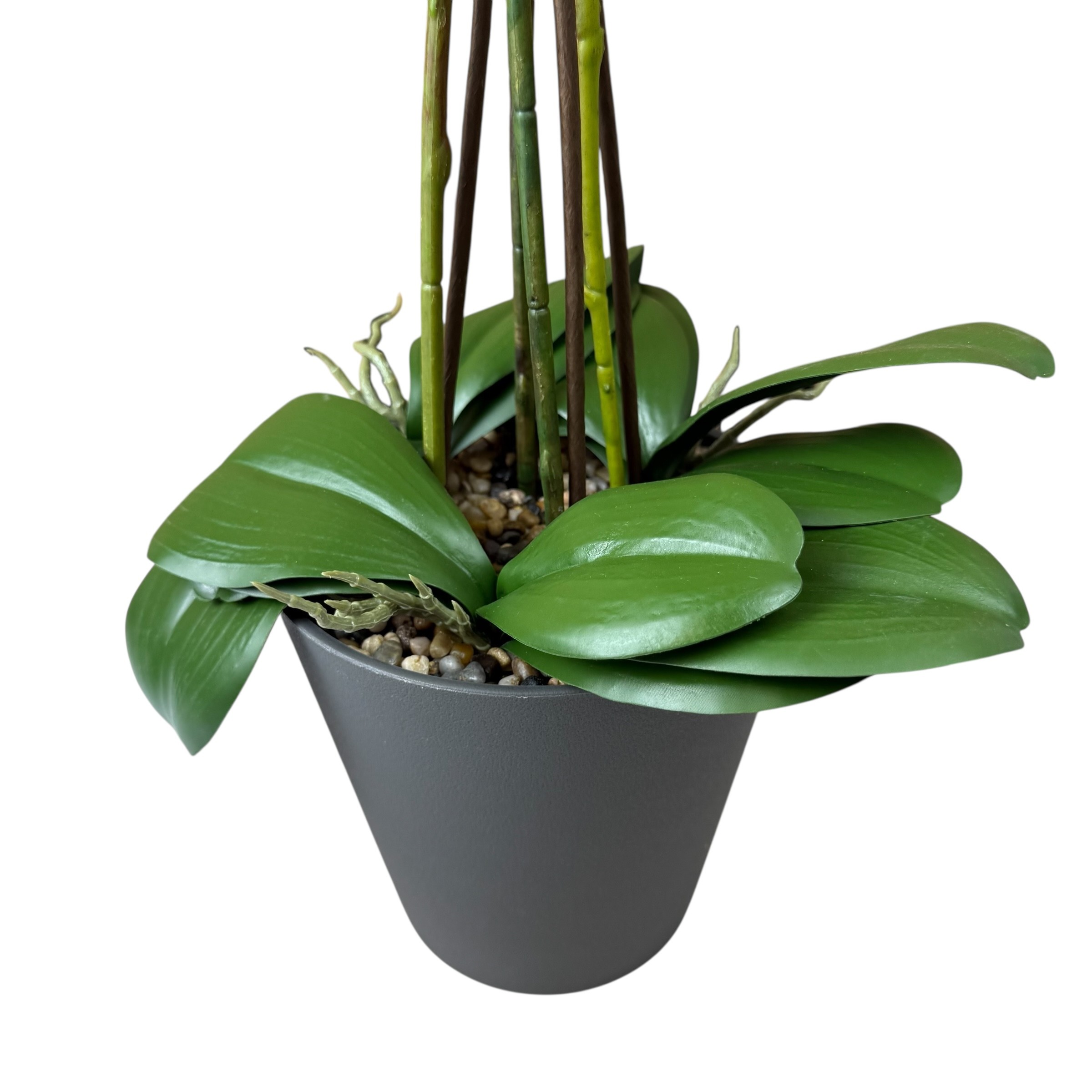 White artificial orchid in black pot, 78 cm photo 4