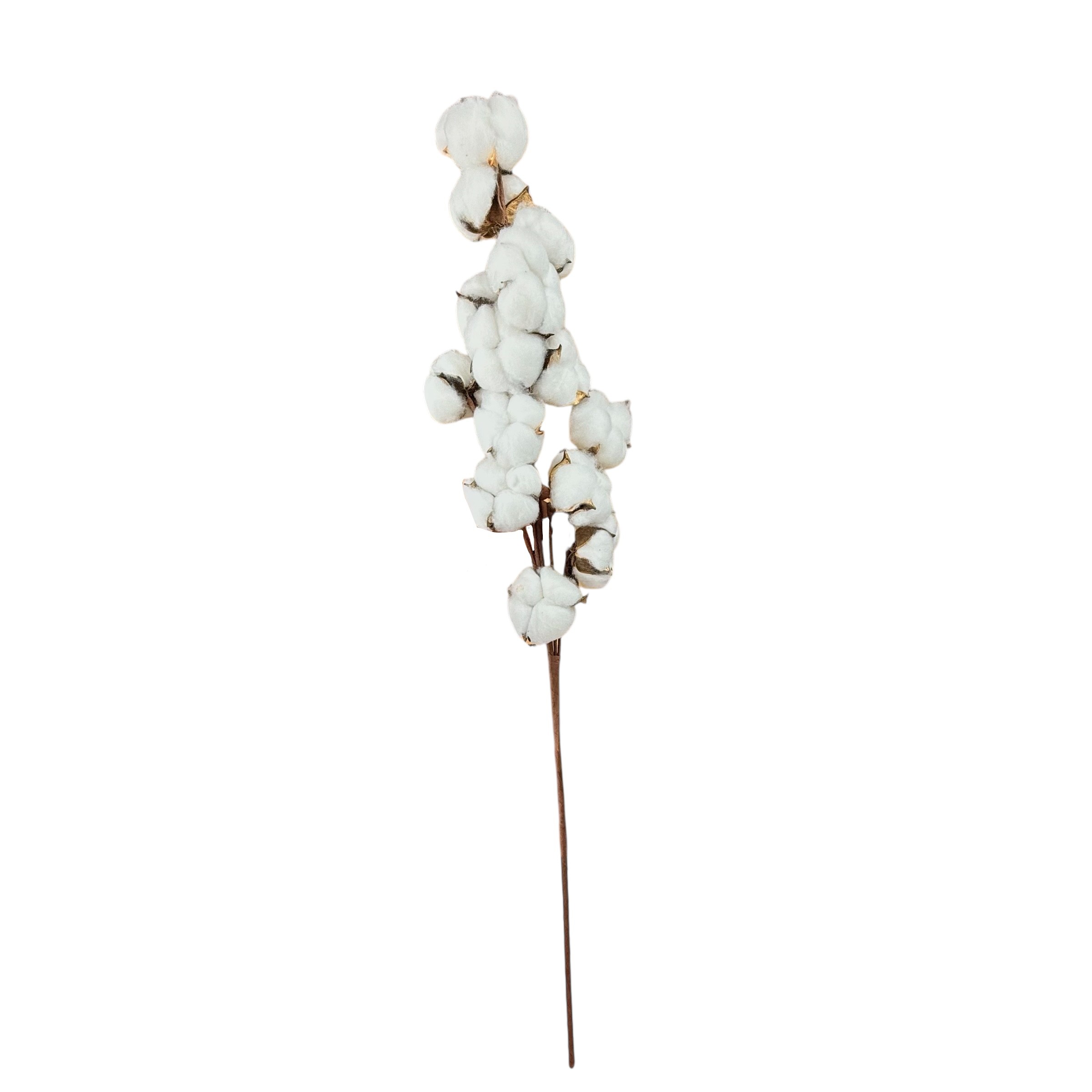 Artificial cotton branch, 14 capsules, 65 cm photo 2