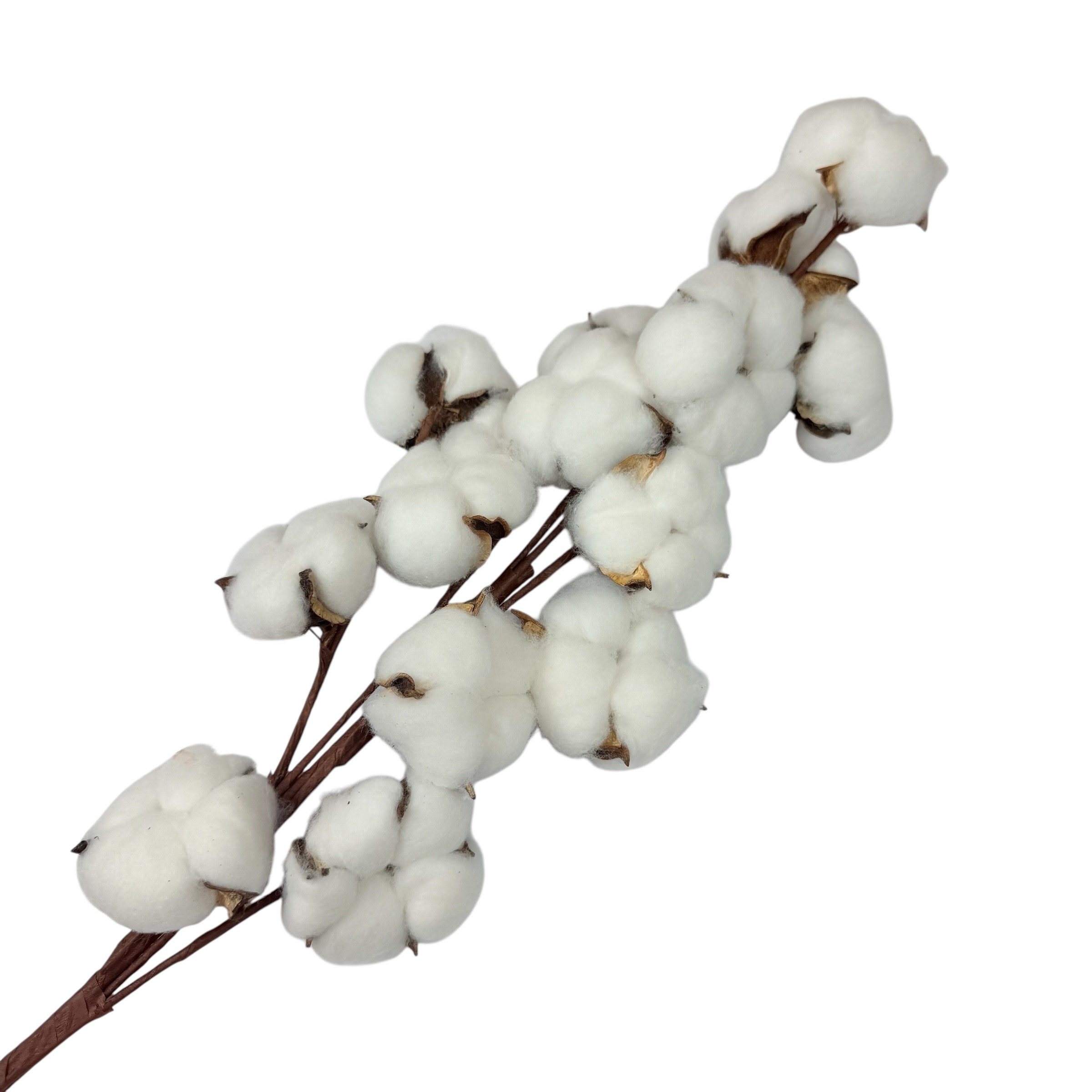 Artificial cotton branch, 14 capsules, 65 cm photo 3