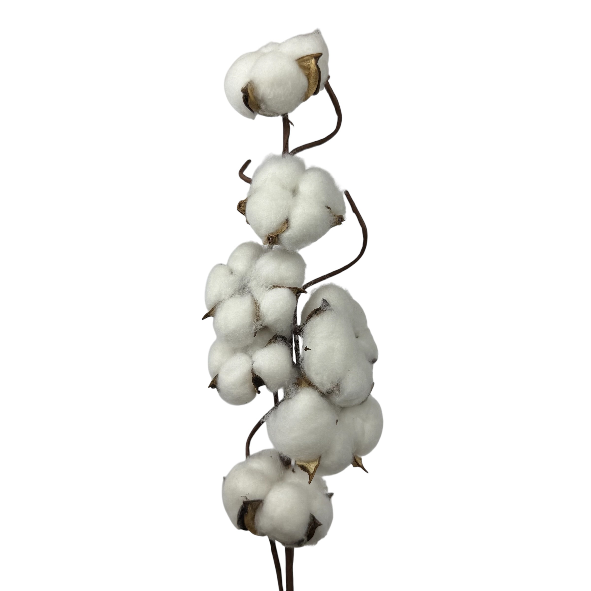 Sztuczna gałązka bawełny, 7 kapsułek, 65 cm