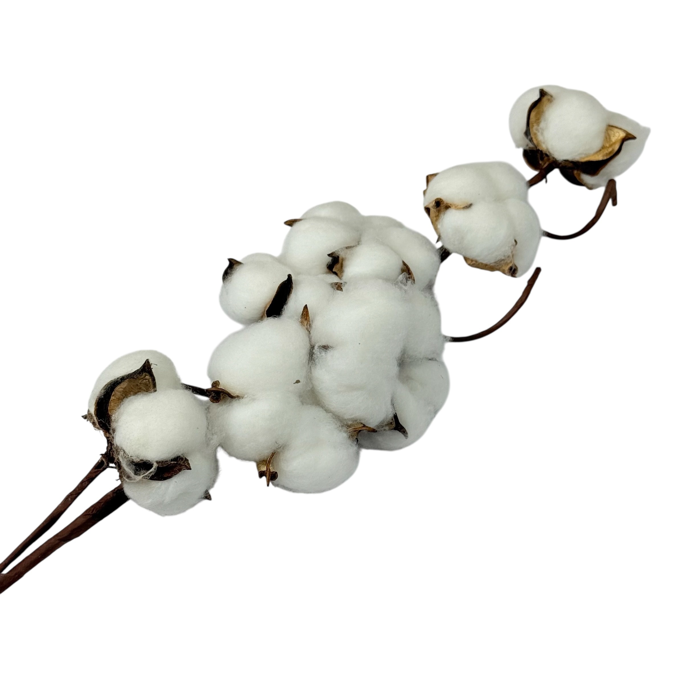 Sztuczna gałązka bawełny, 7 kapsułek, 65 cm photo 2