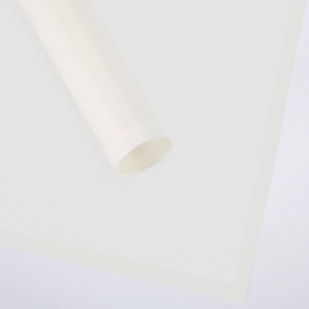 Cellophane with border "Lines" beige #243