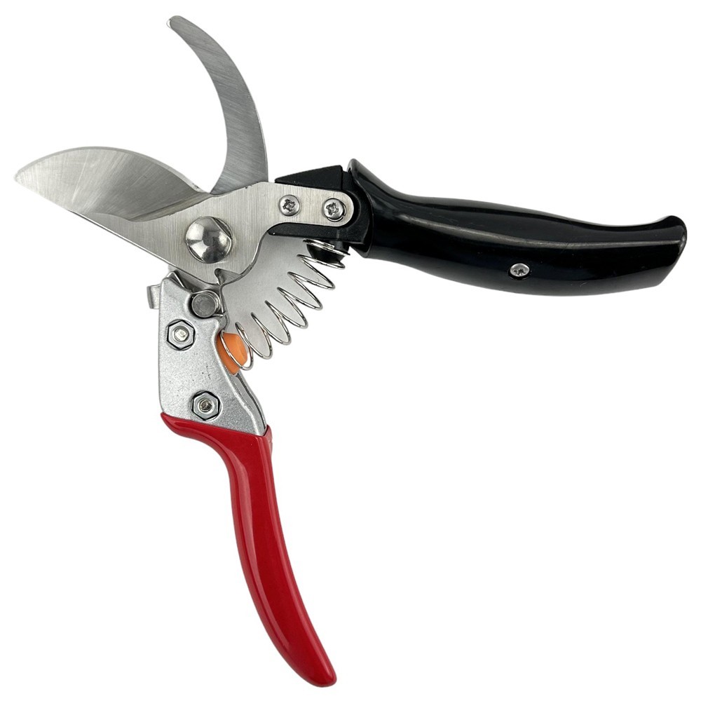 Royalty professional red scissors photo 2