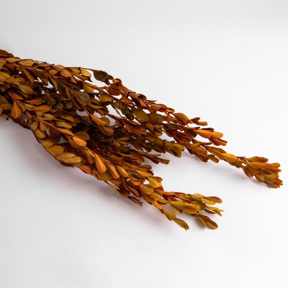 Dried lemongrass flowers, yellow, 110 grams