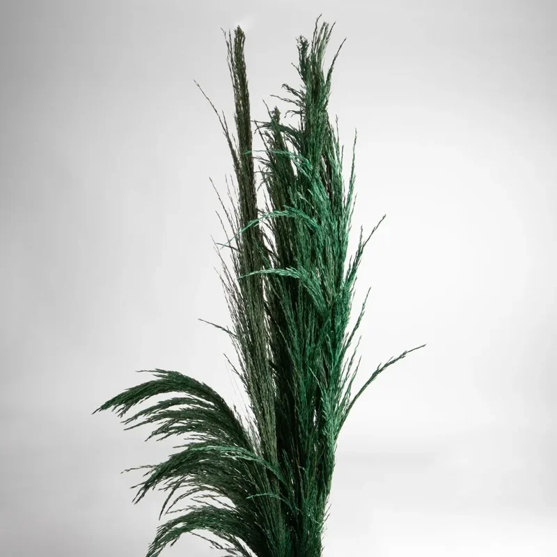 Flori uscate iarba pampas, #12, 200 grame