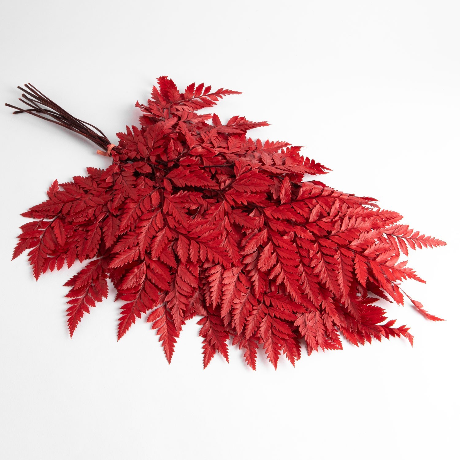 Dried flowers, red, 65 grams