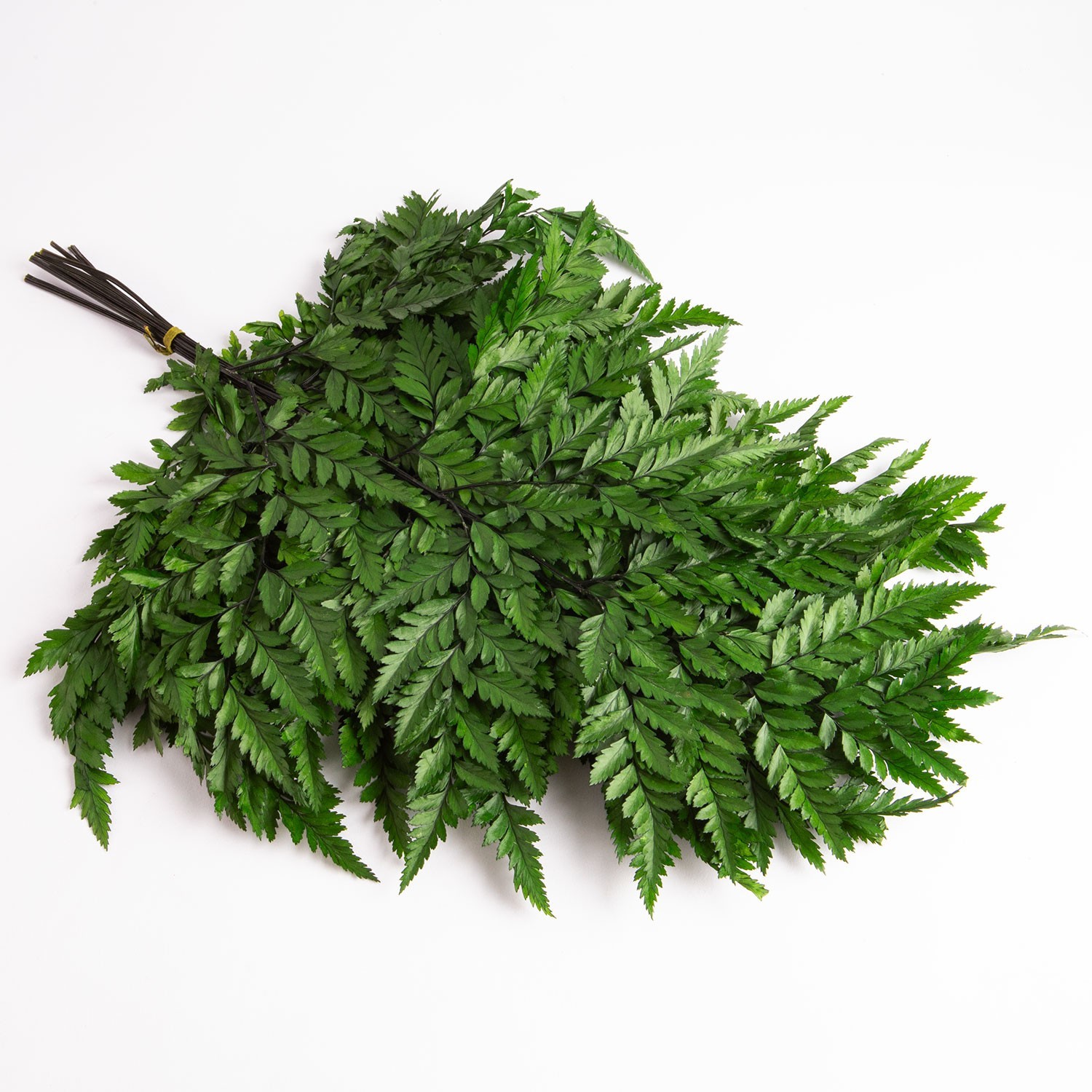 Flori uscate, версия, 65 грама