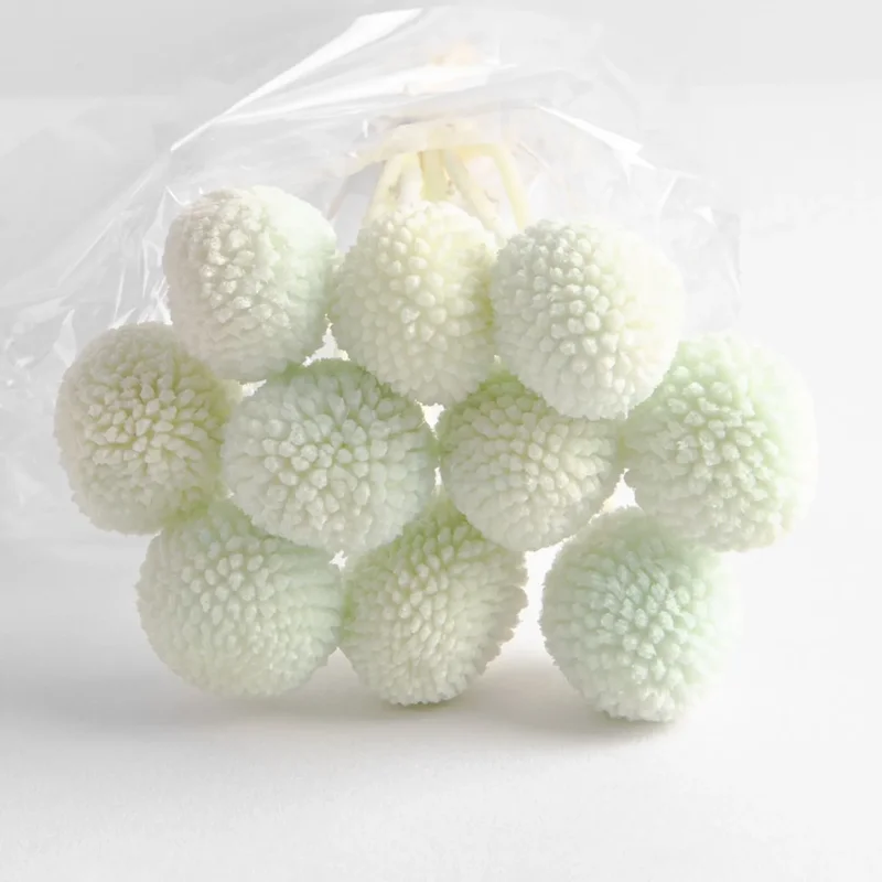 Flori uscate de Craspedia, verzi, 10 capete, 65 grame