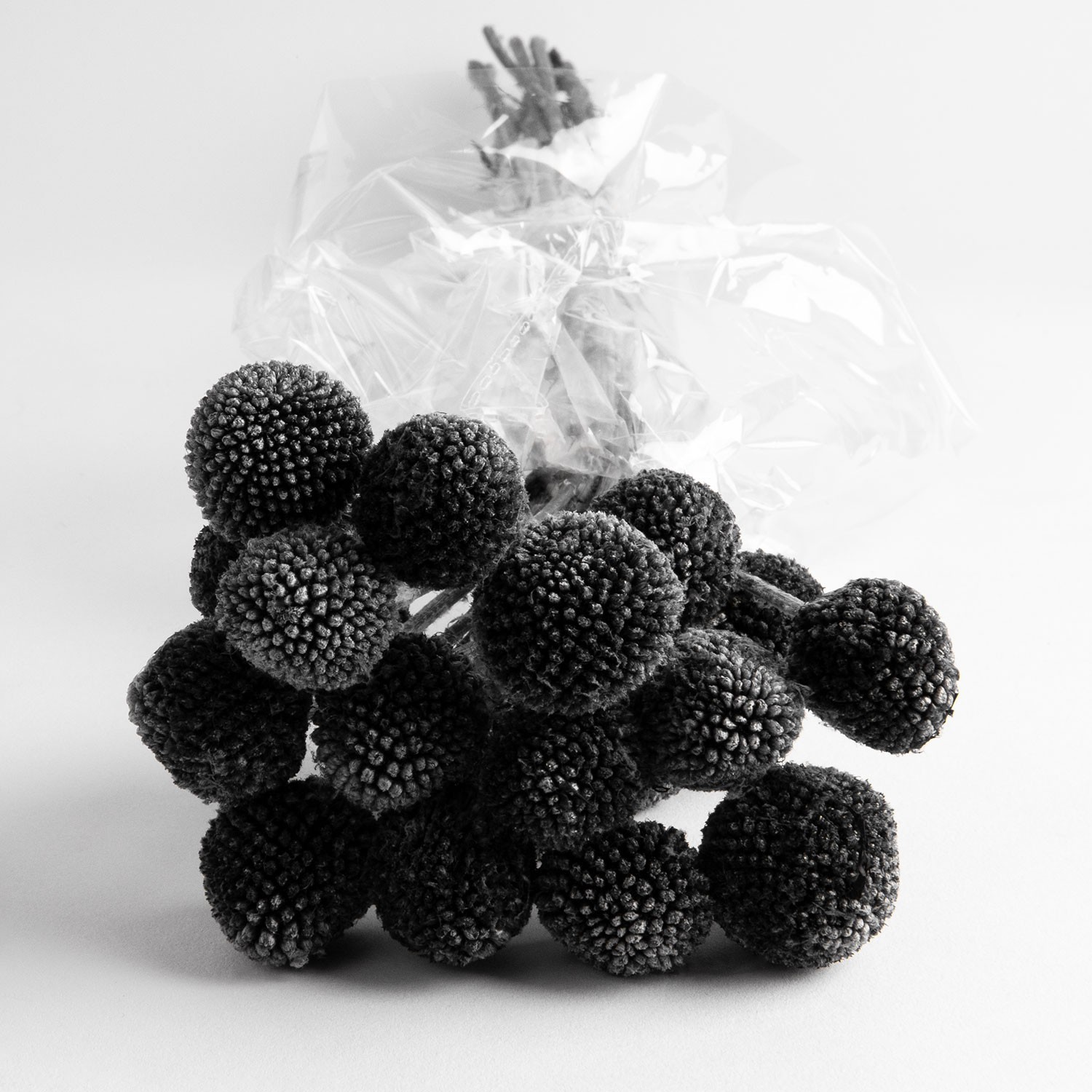 Flori uscate de Craspedia, negre, 20 capete, 55 grame photo 2