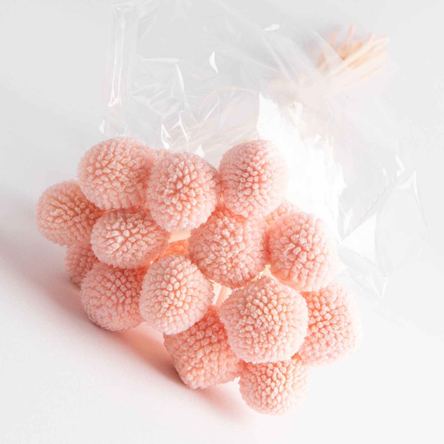 Flori uscate de Craspedia, roz, 20 capete, 55 grame