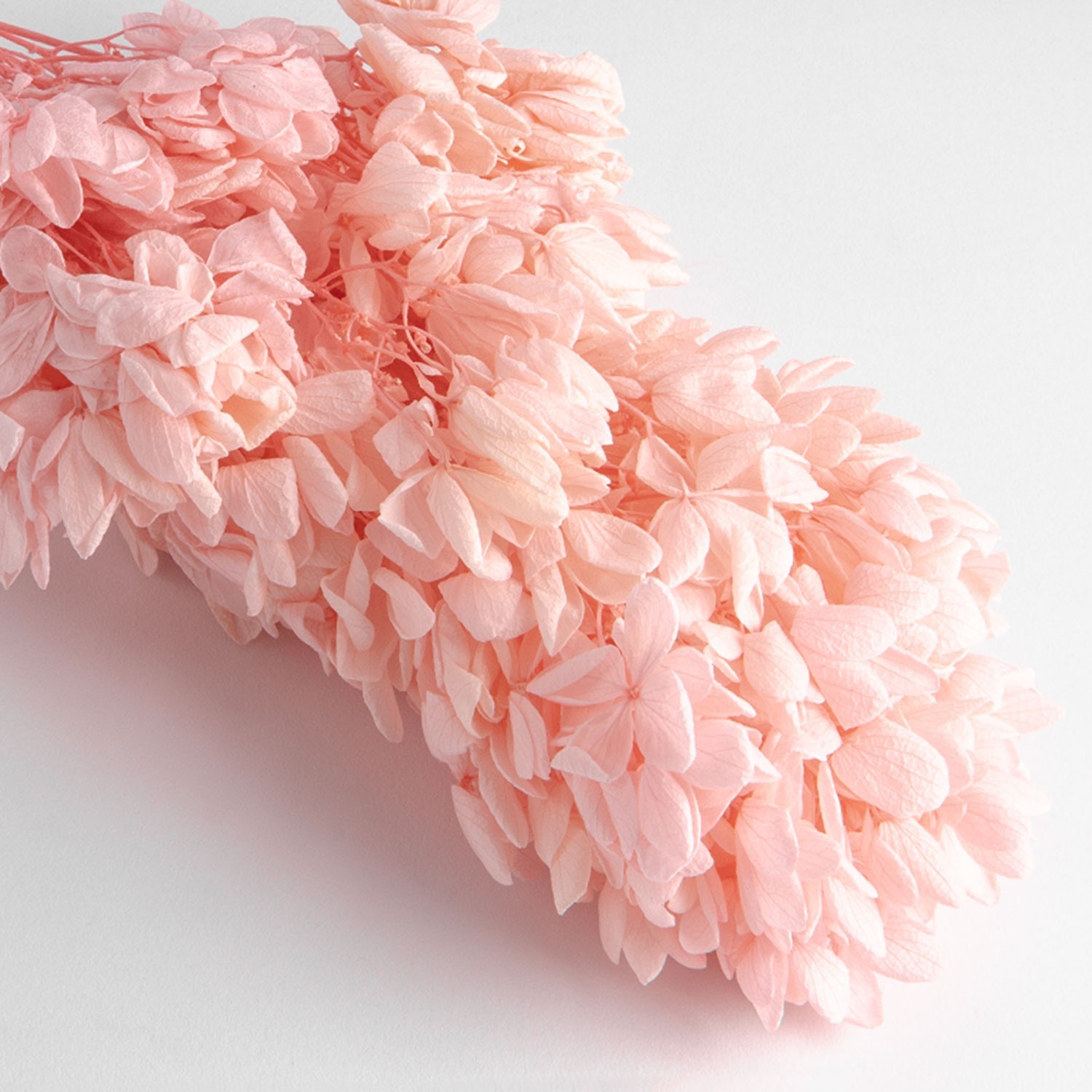 Flori uscate de hortensie, roz, 70 grame